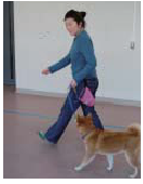 引っ張らずに歩く2